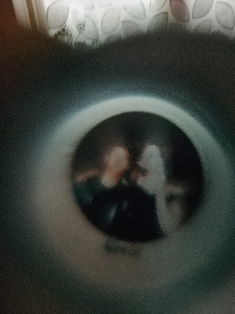Review photo 1